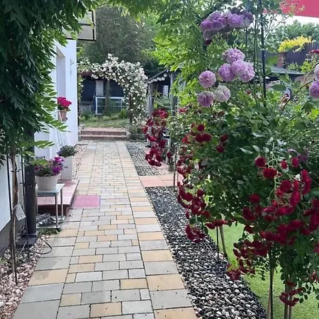 Cozy Sapa - Private Garden House * Prag